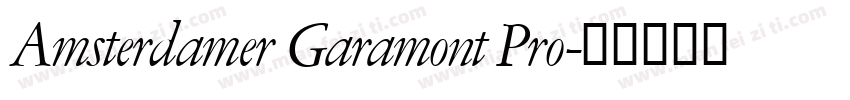 Amsterdamer Garamont Pro字体转换